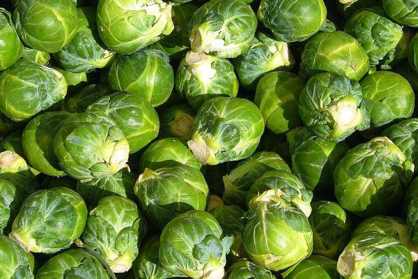 Brussels Sprouts A Nutritious and Versatile Vegetable