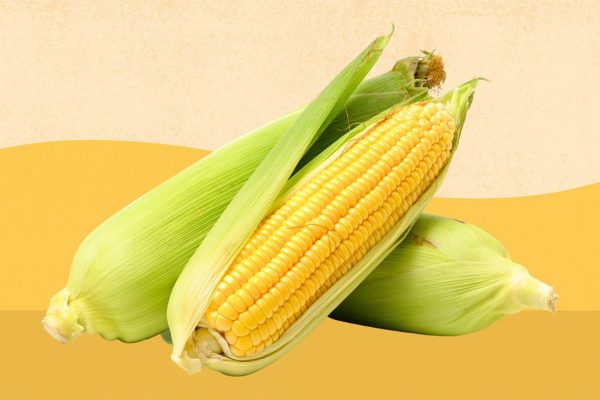 Corn A Versatile and Nutritious Grain