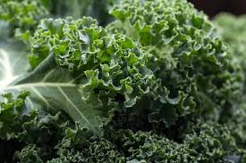 Kale A Nutrient-Dense Superfood