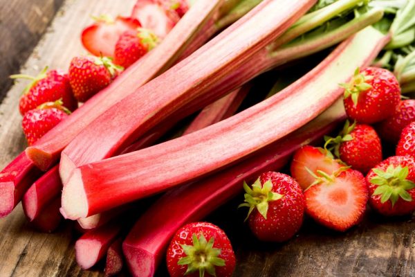 Rhubarb A Tart and Tangy Culinary Treasure